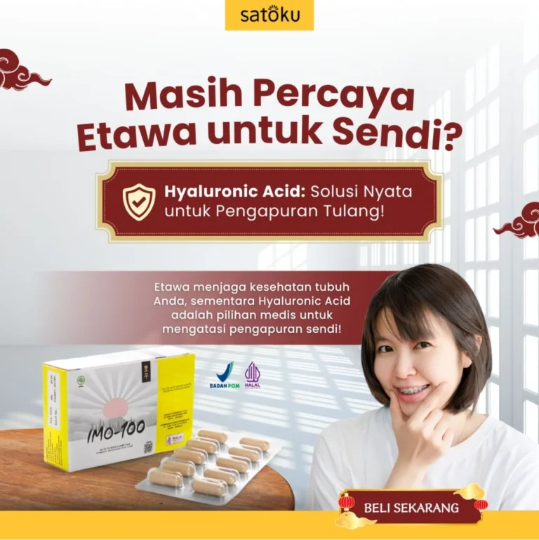 26.webp